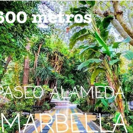 Apartamento Apartamento En Centro *